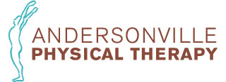 logo: Andersonville Physical Therapy